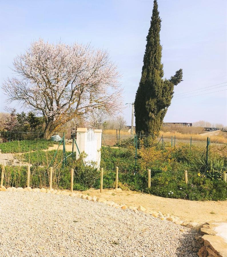 Gites A Moussan ,Domaine De La Barque A 5 Mins De Narbonne 외부 사진