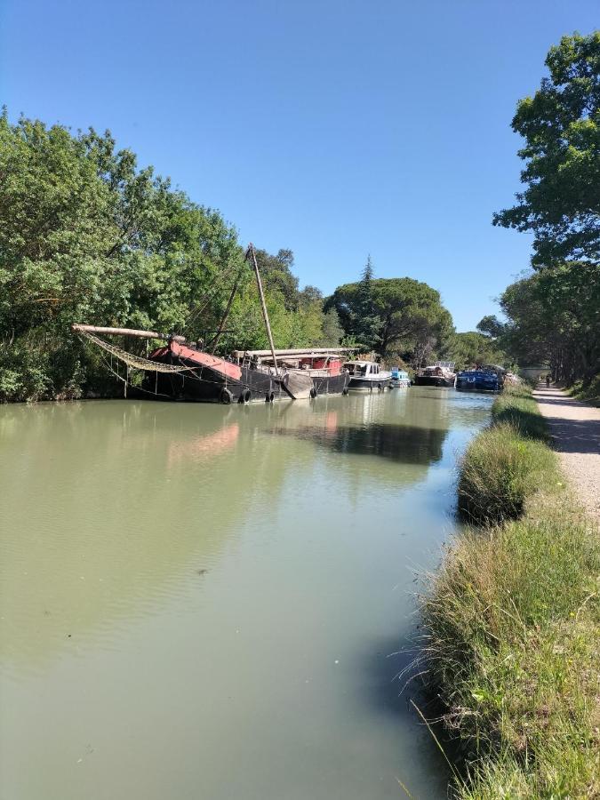 Gites A Moussan ,Domaine De La Barque A 5 Mins De Narbonne 외부 사진
